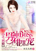 99°再婚：男神BOSS甜甜寵