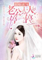 甜婚蜜寵：老公大人停一停