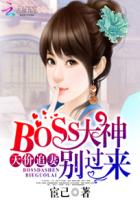 天價追妻：BOSS大神別過來