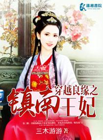 穿越良緣之鎮(zhèn)南王妃