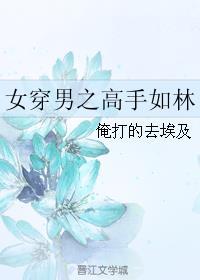 女穿男之高手如林