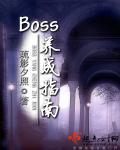 BOSS養成指南